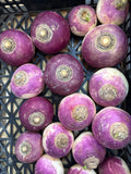 Navet violet