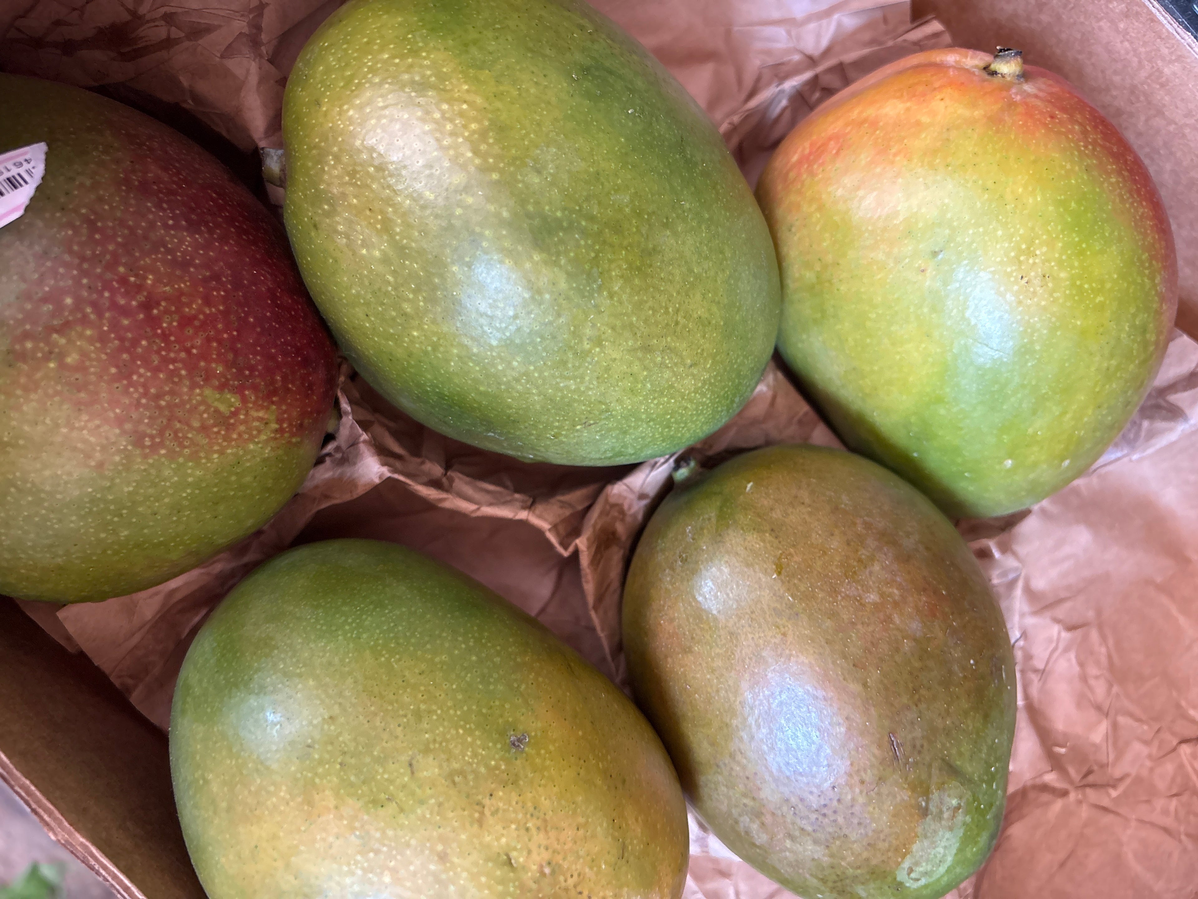 Mangue