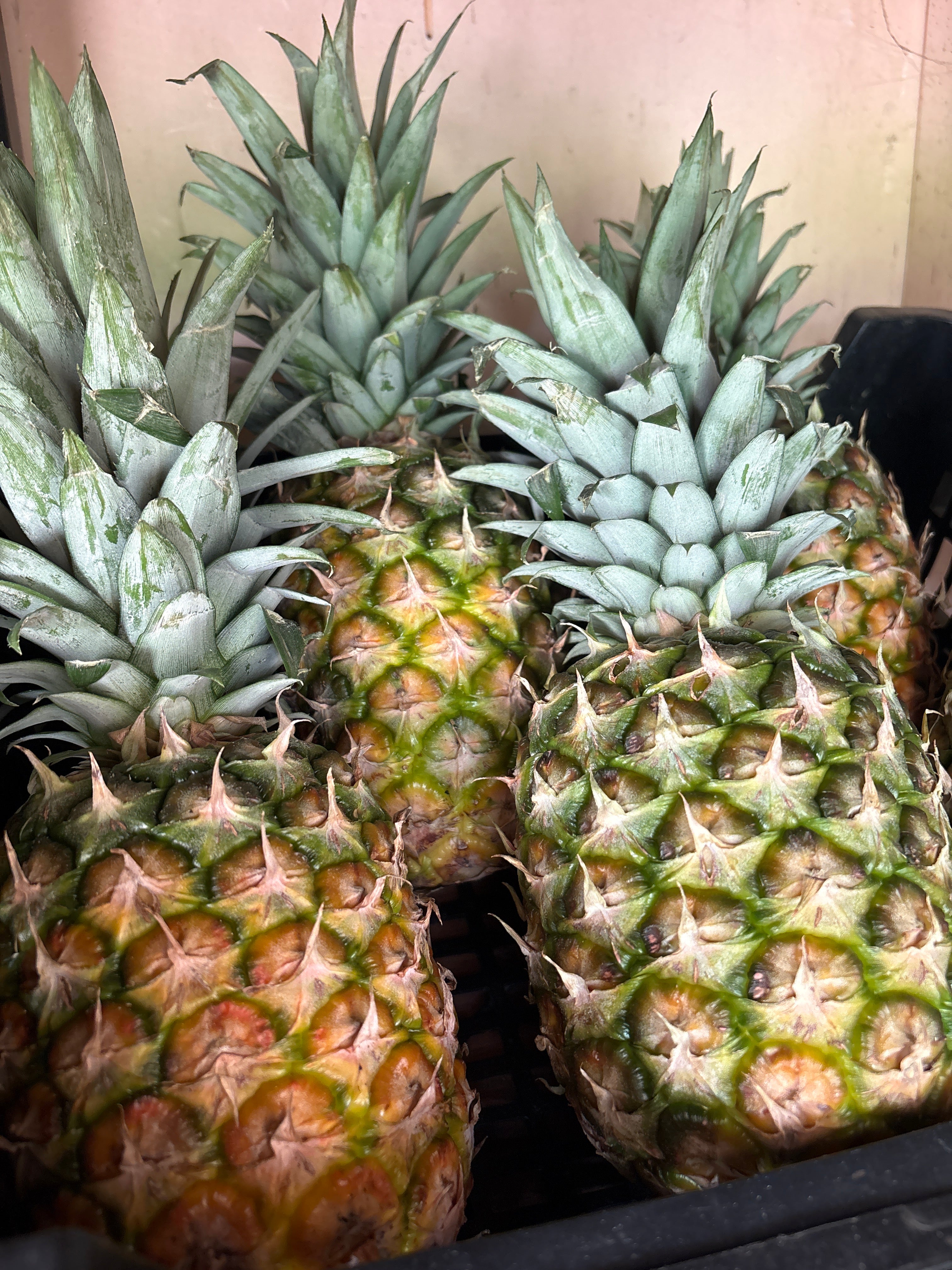 Ananas