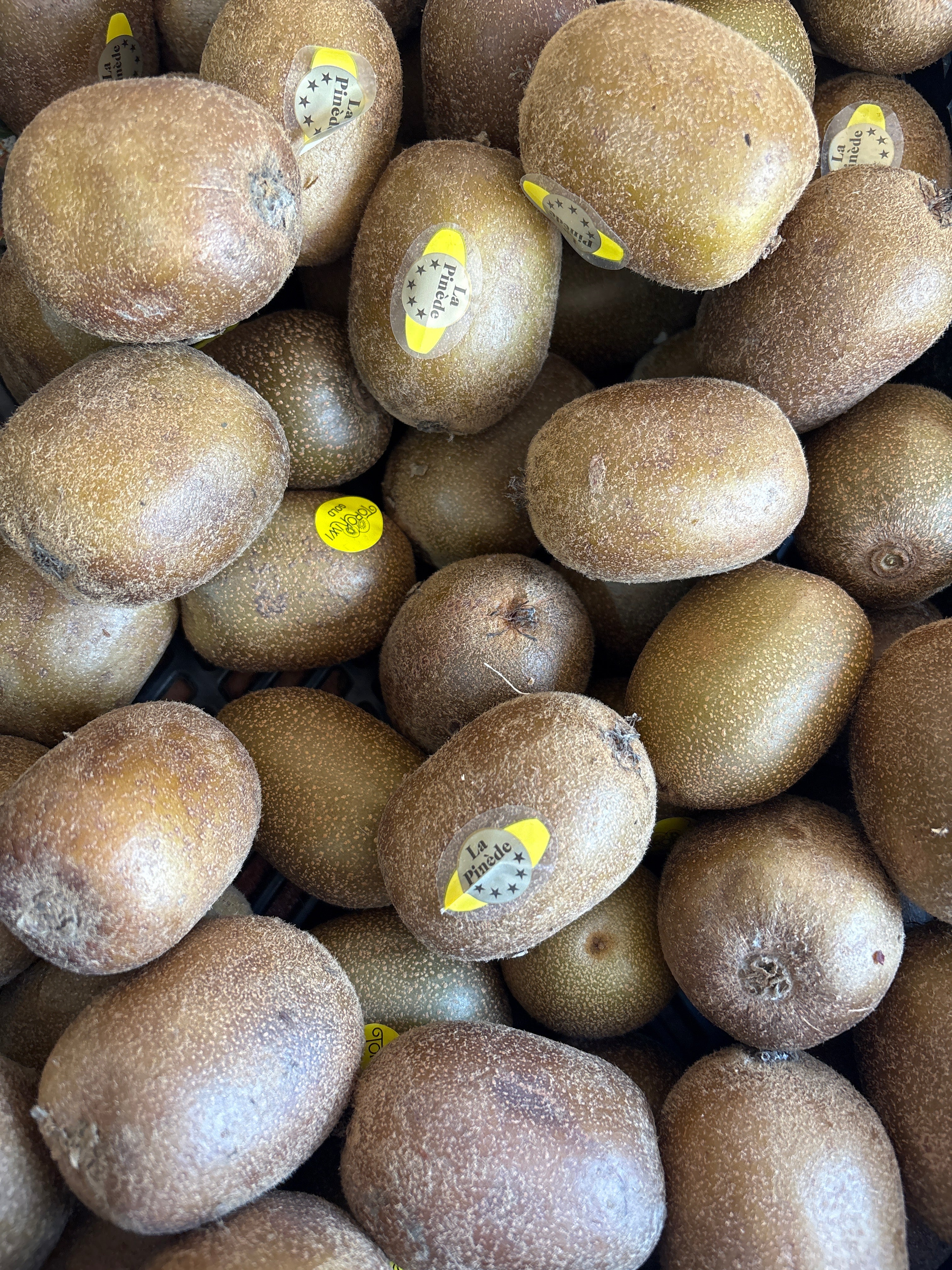 Kiwi jaune