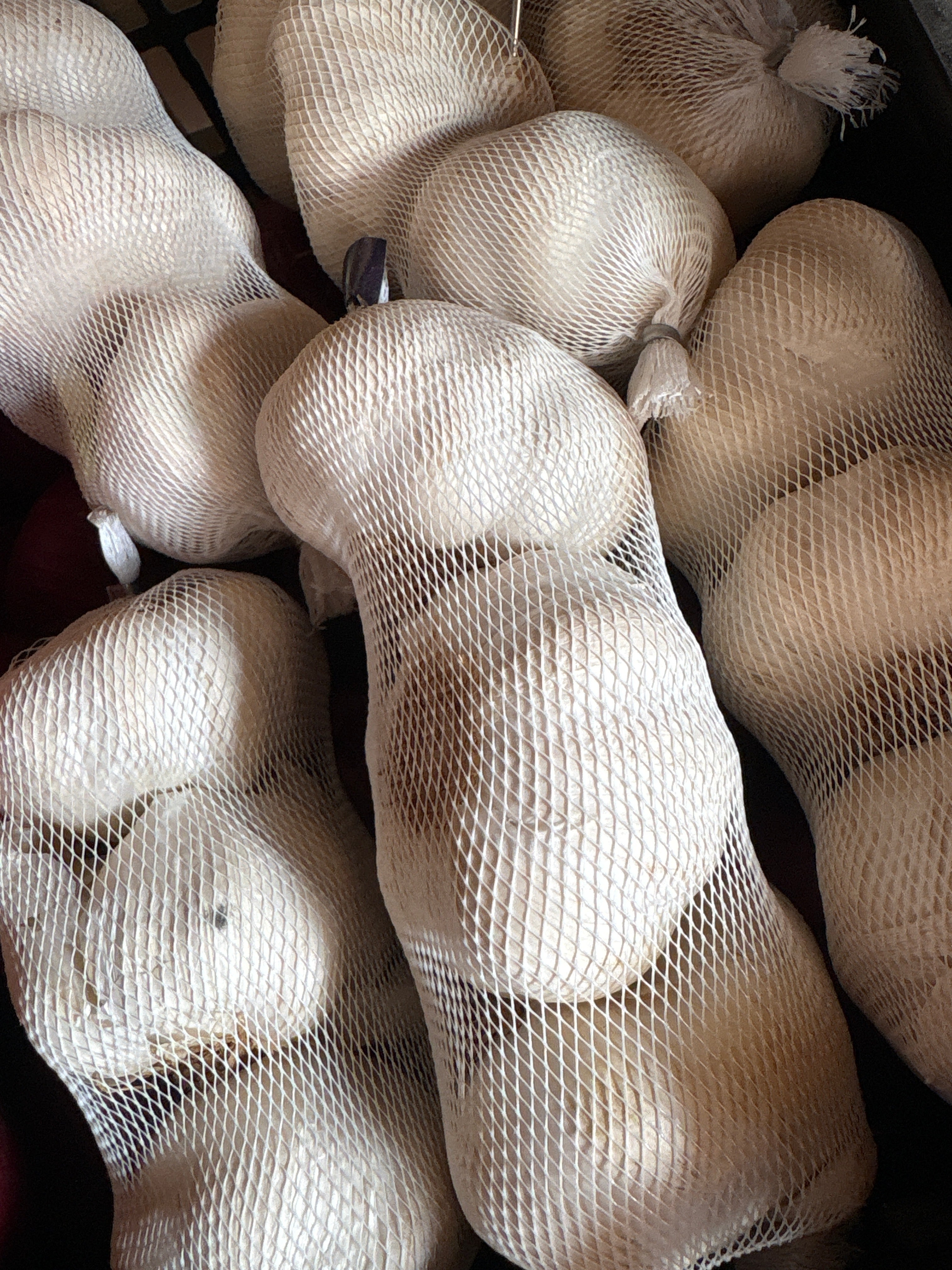 250g Tête ail blanc