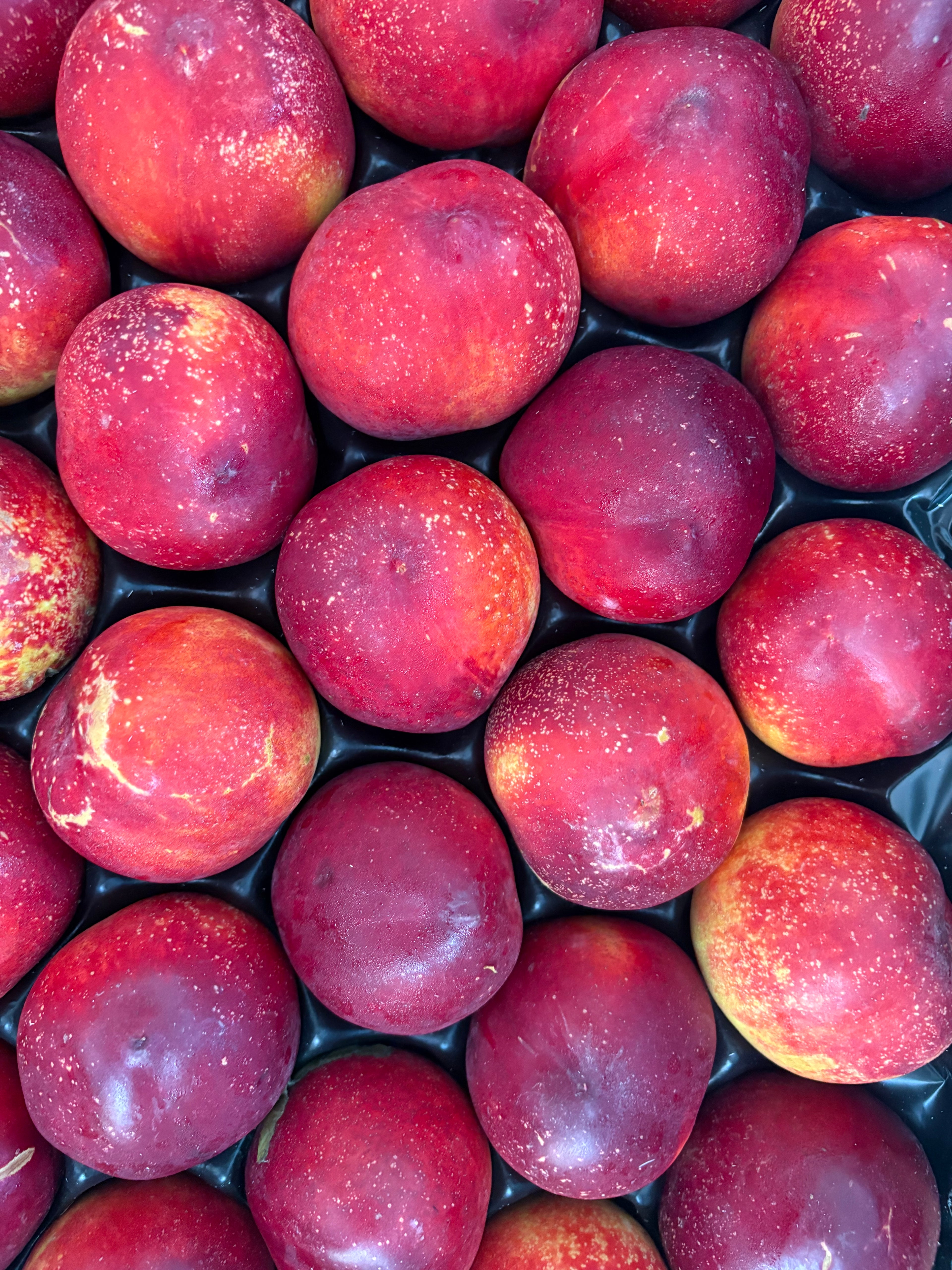 Nectarine jaune
