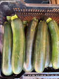 Courgette verte