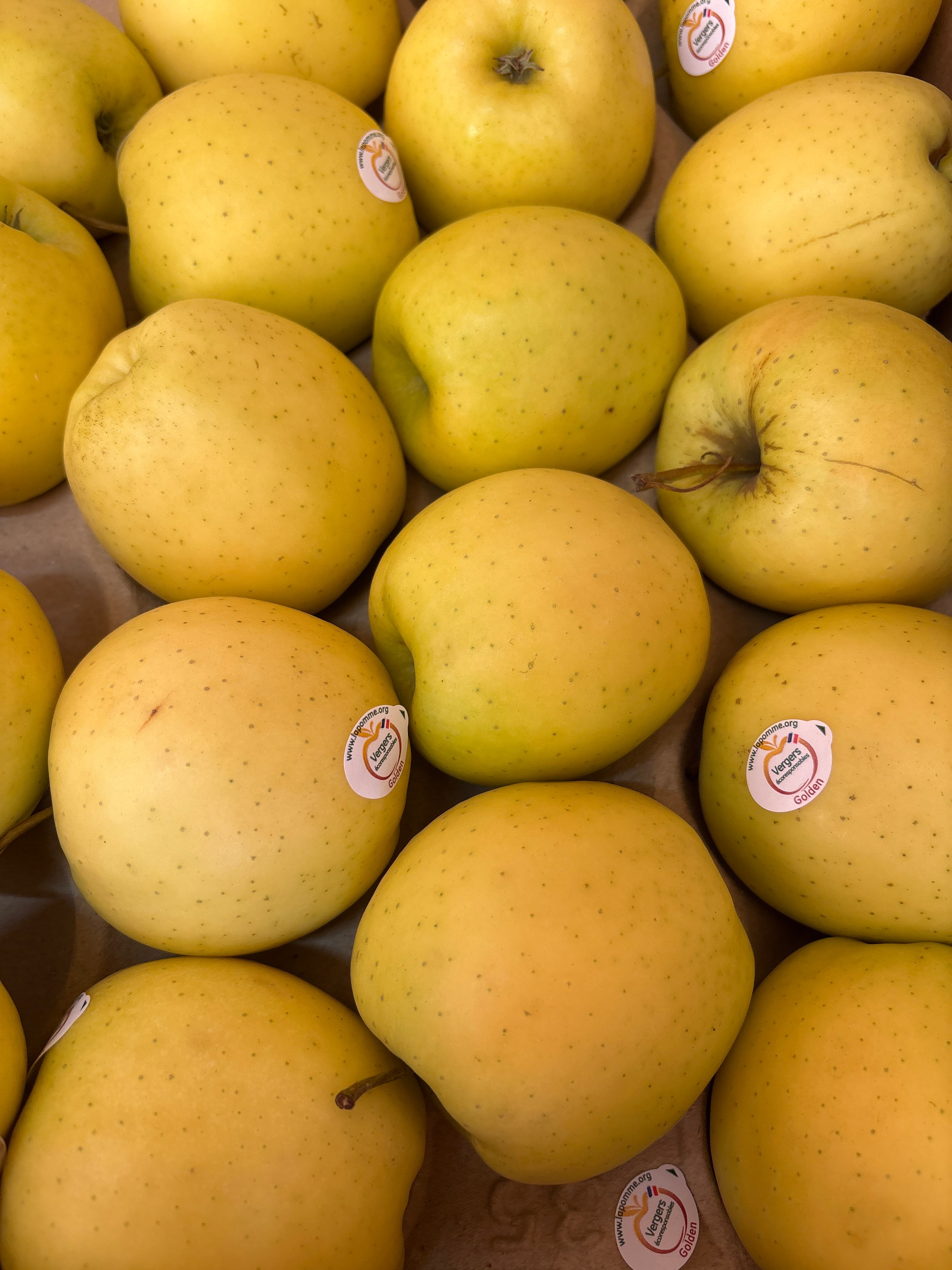 Pomme golden