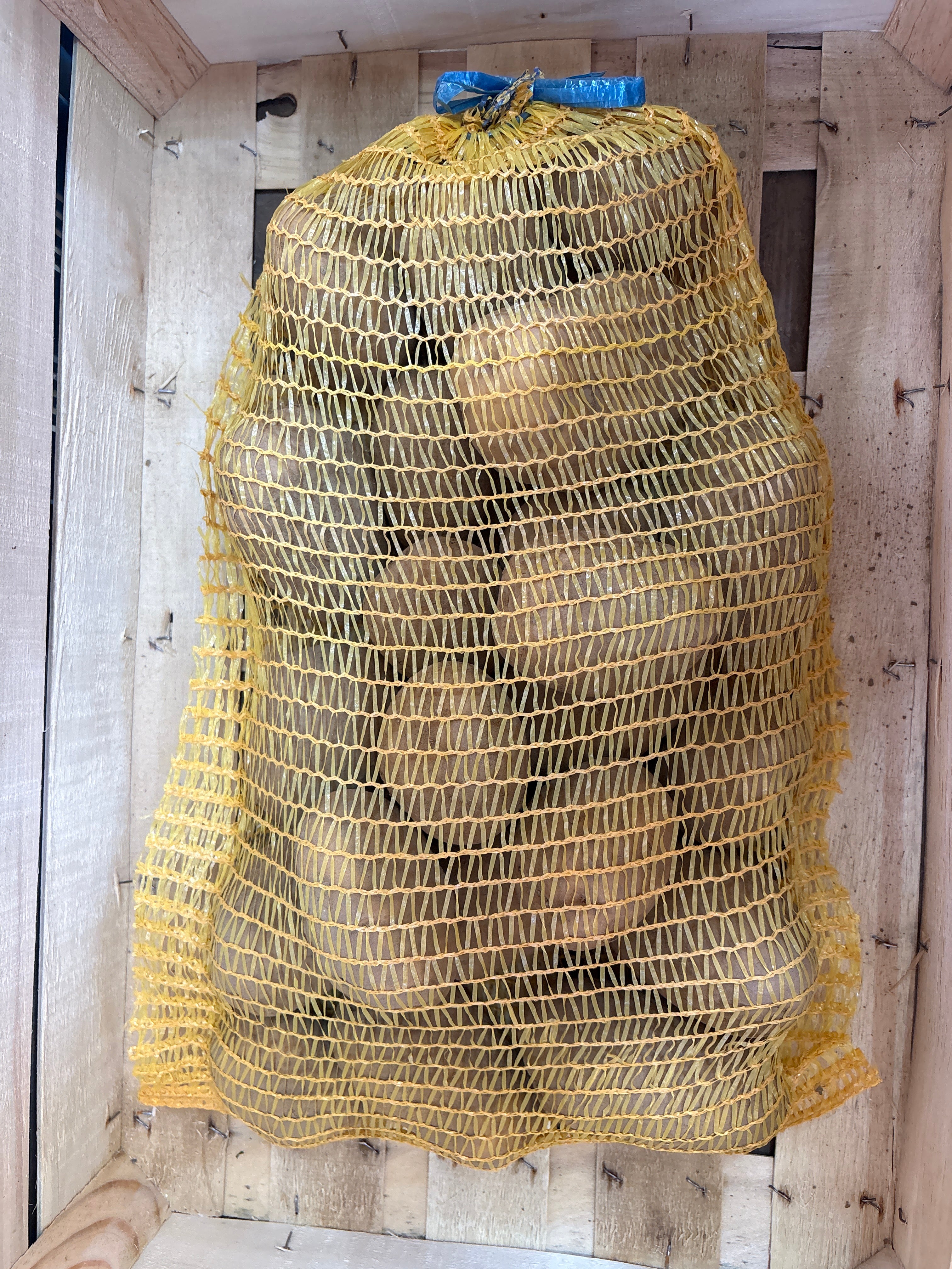 Pomme de terre 5kg BINJTE