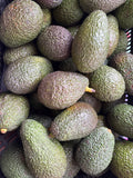 Avocat Hass