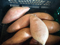 Patate douce
