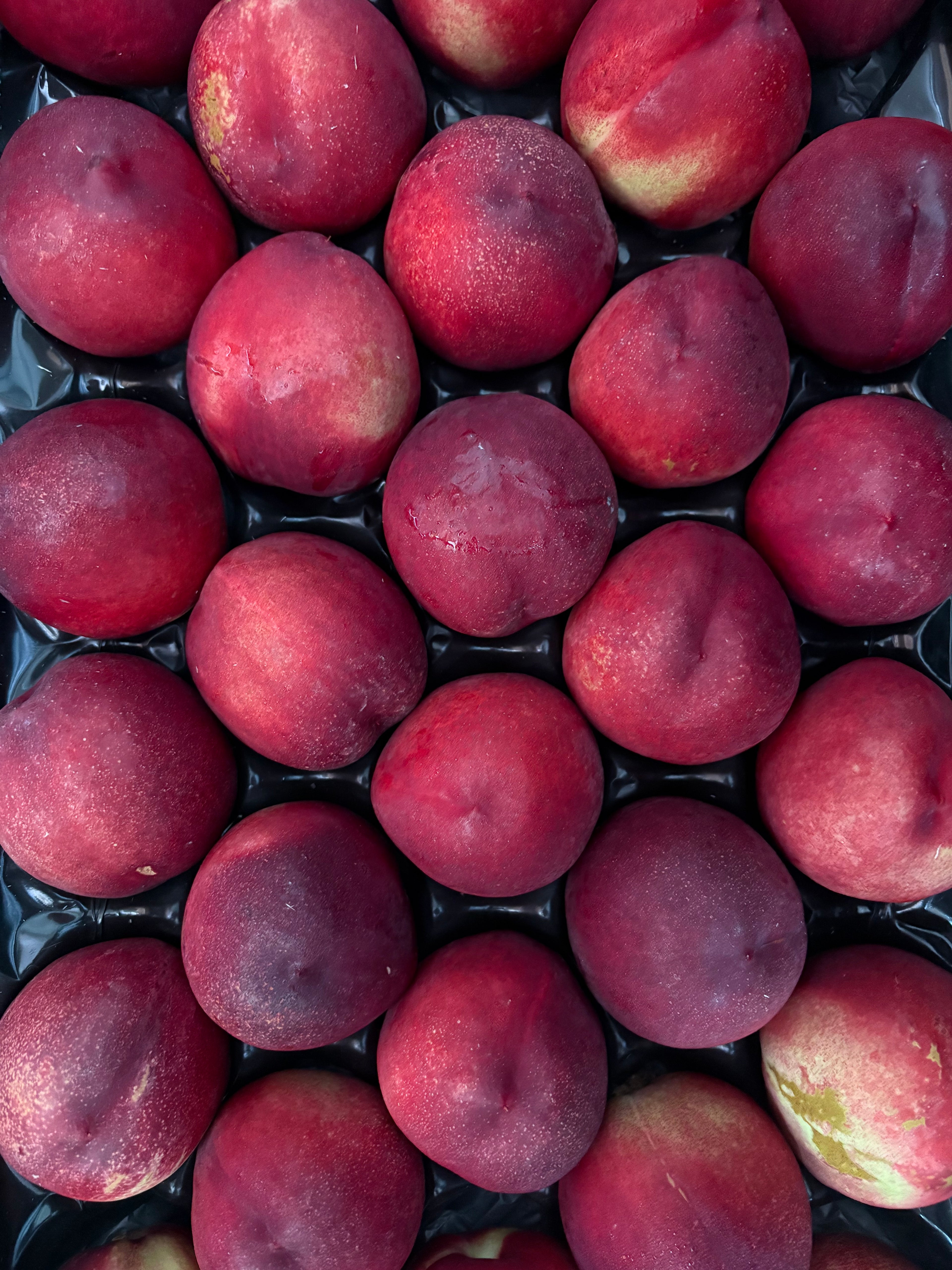 Nectarine blanche