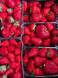Fraise 500g