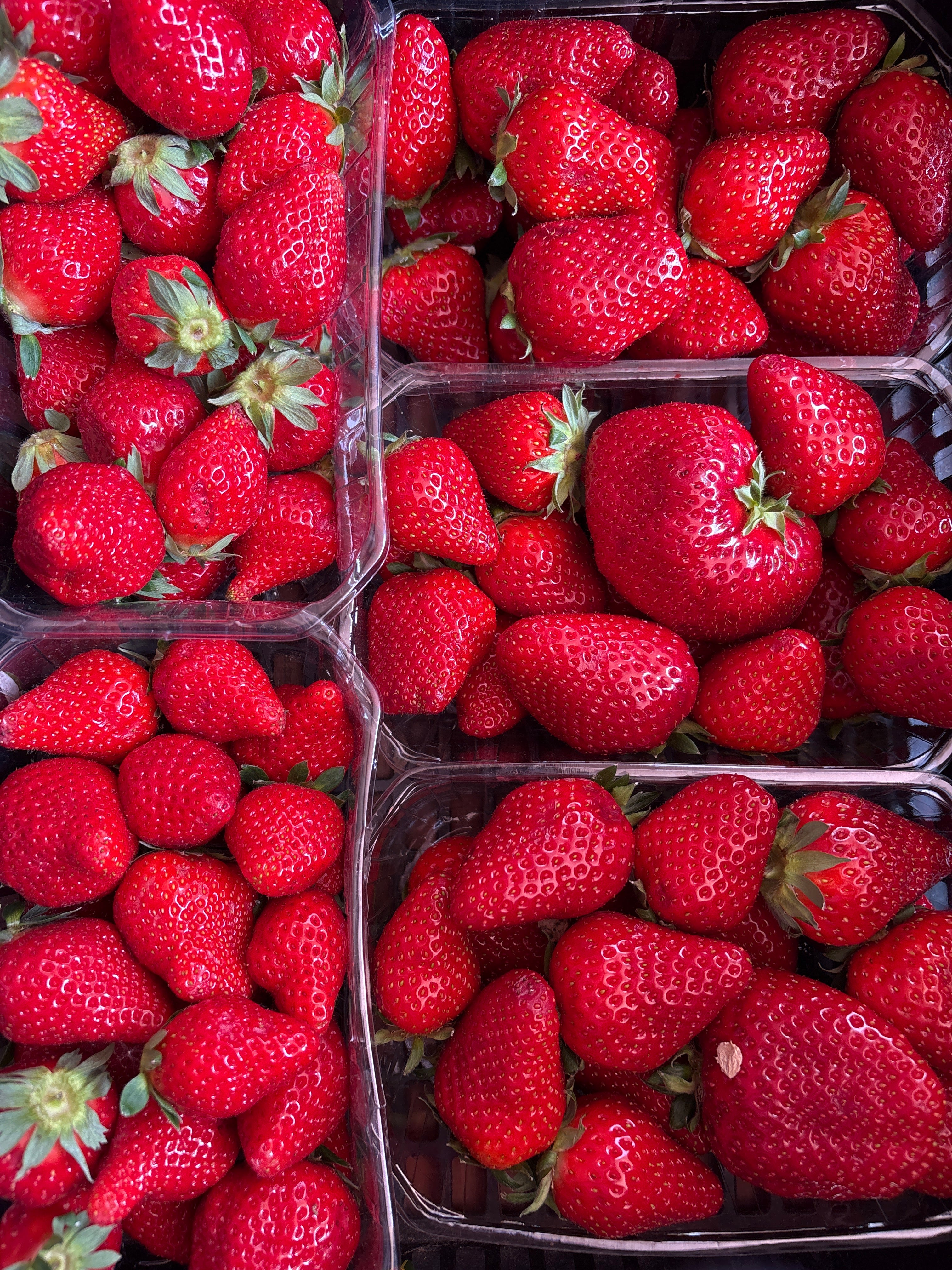 Fraise 500g