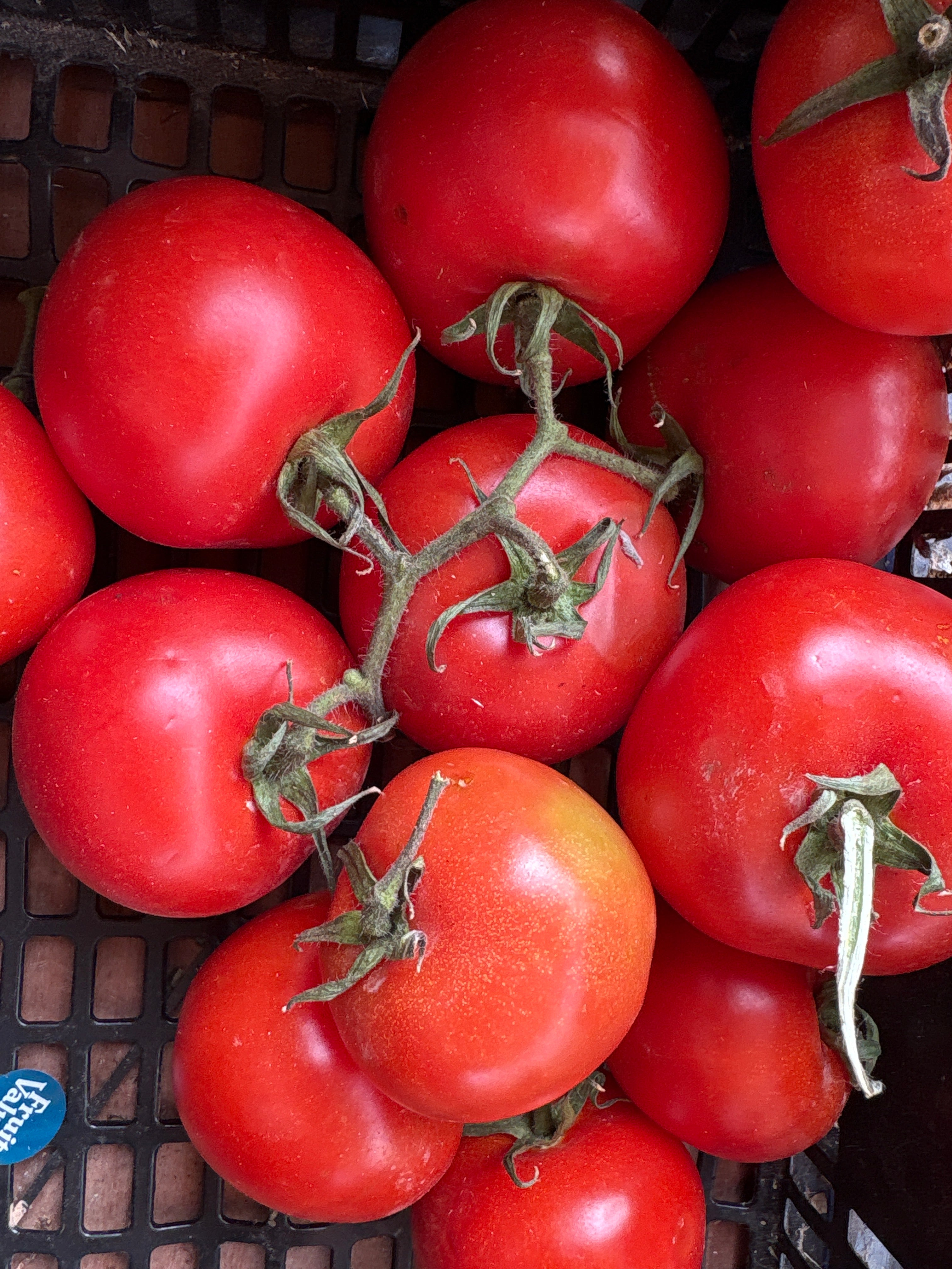 Tomate