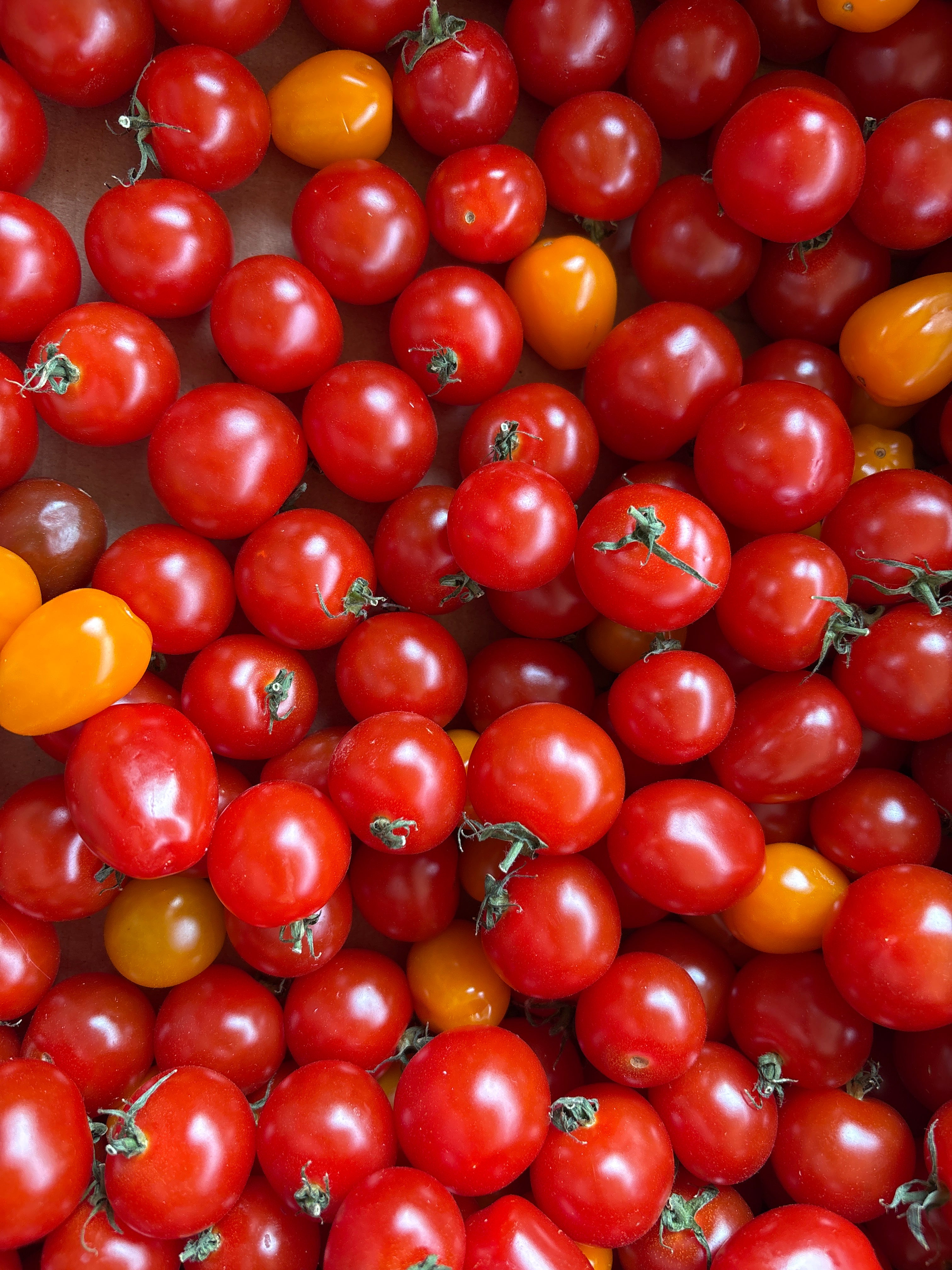 Tomate cerise 500g