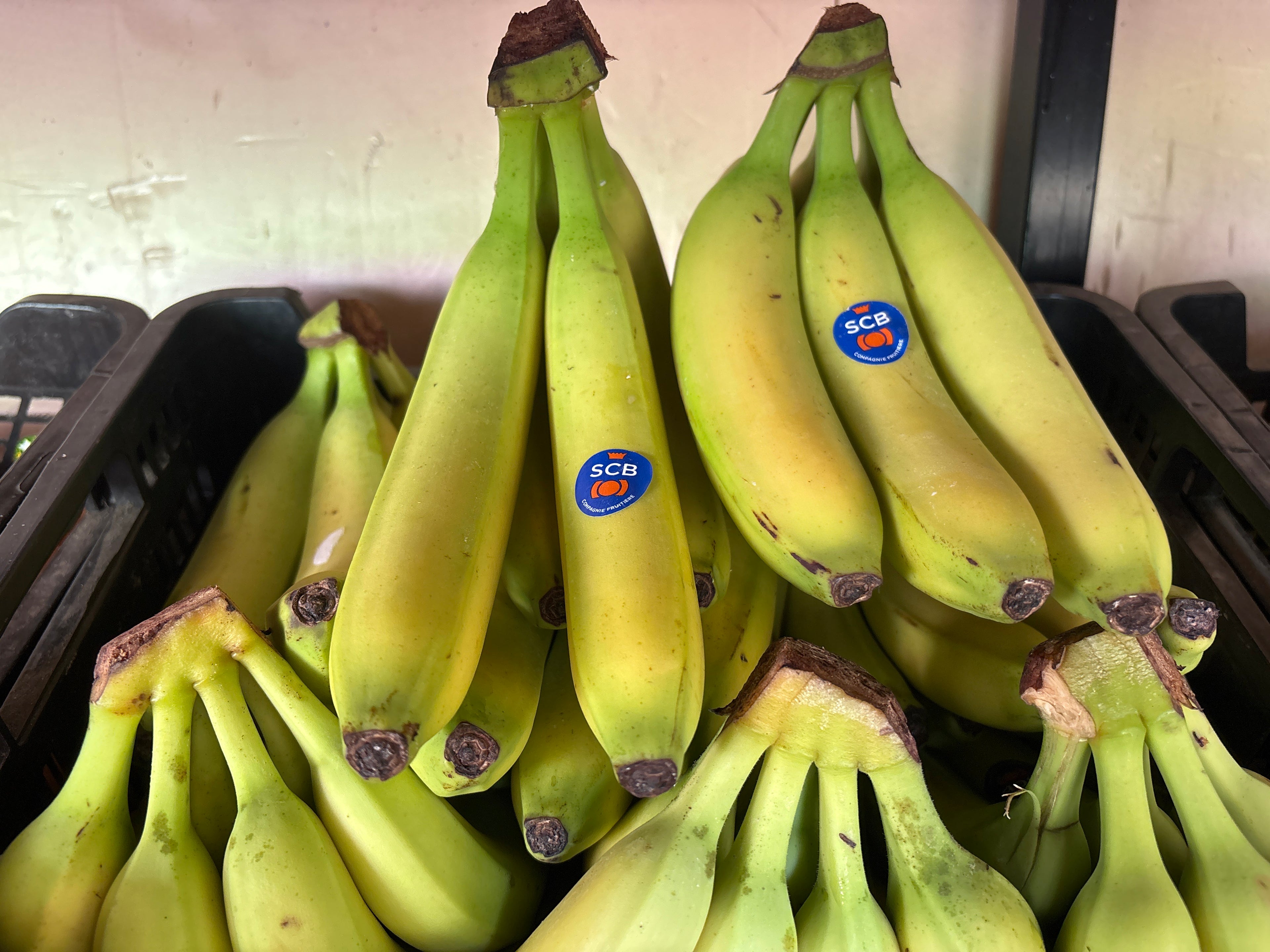 Banane