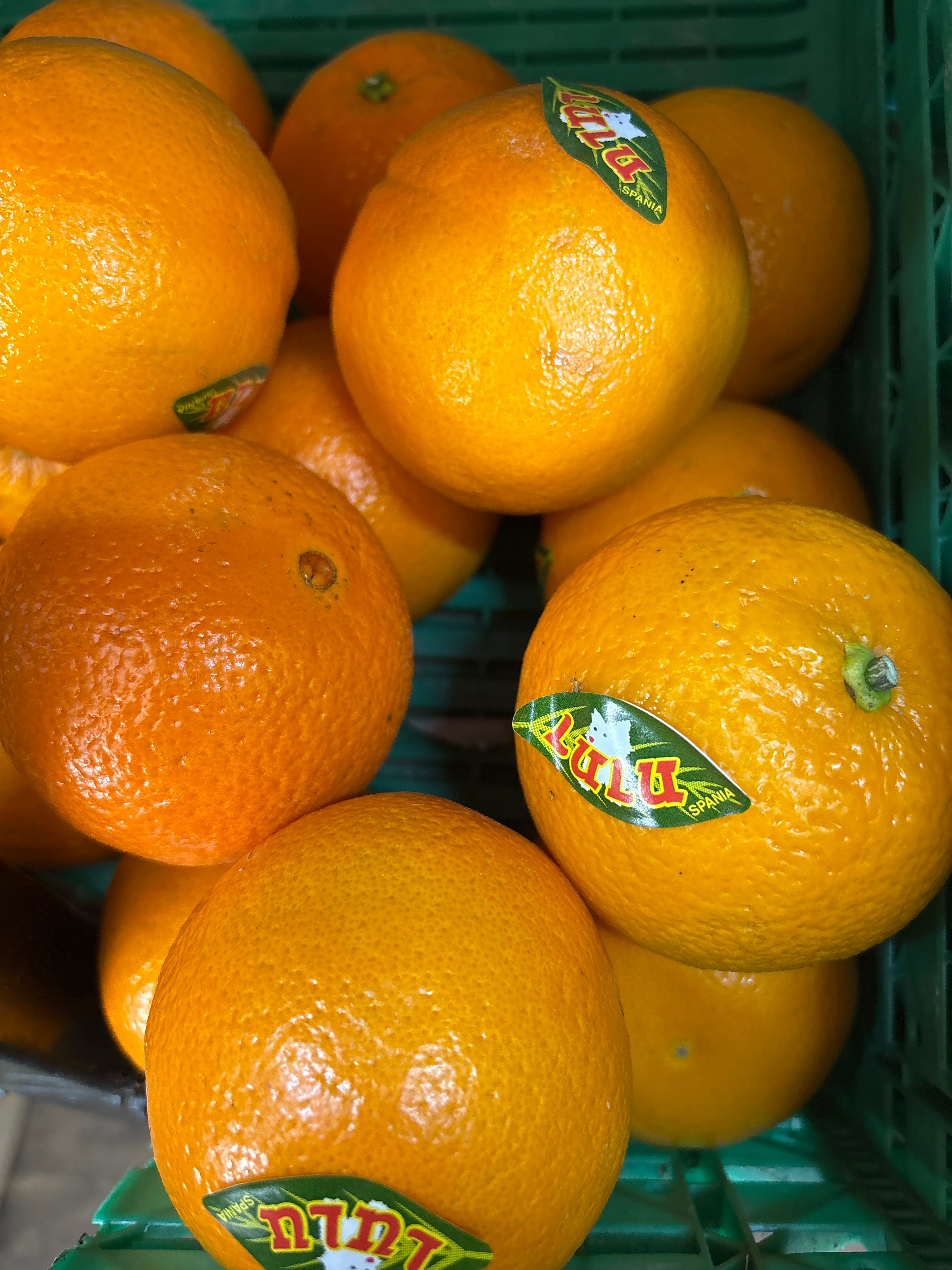 Orange de table