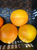 Pomelos rosé